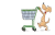 Shop Cart